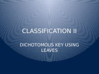 CLASSIFICATION II dichotomous key.pptx